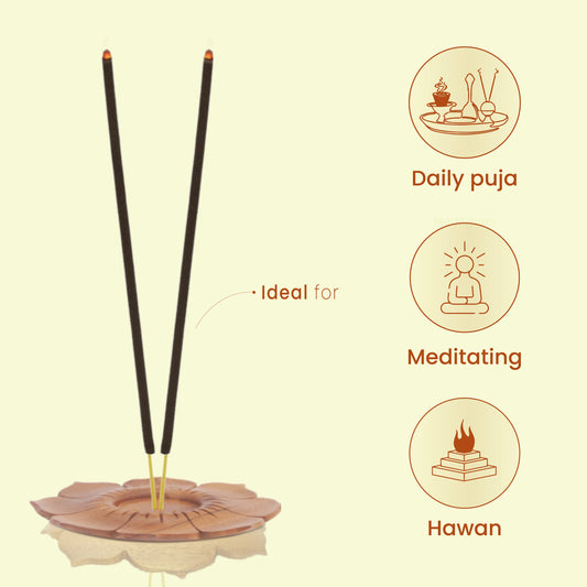 Lia Agarbatti Combo Pack - Jas, Prime Rose, Chandanam